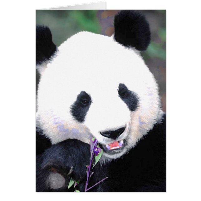 Panda (Front)
