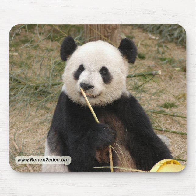 panda106 copy mouse mat (Front)