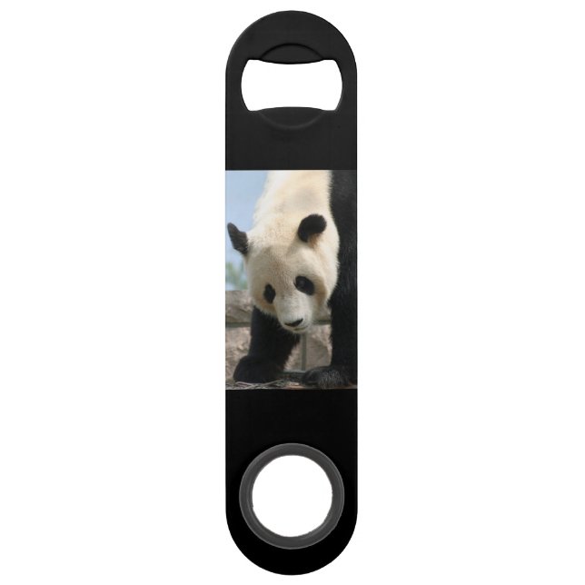 Panda20170506_by_JAMFoto (Front)