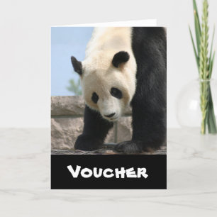 Panda20170506_by_JAMFoto Card