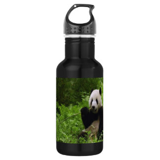 Panda 532 Ml Water Bottle