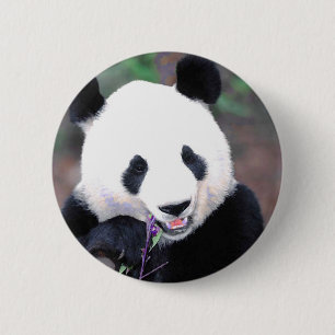 Panda 6 Cm Round Badge