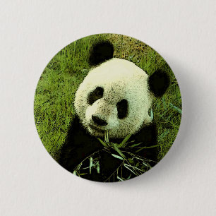 Panda 6 Cm Round Badge
