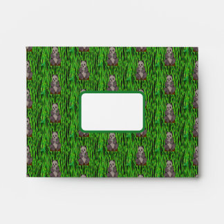 Panda - A2 Envelope