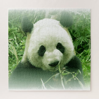 Panda - Animals Art Jigsaw Puzzle