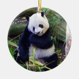 Panda at the San Diego Zoo Ceramic Tree Decoration