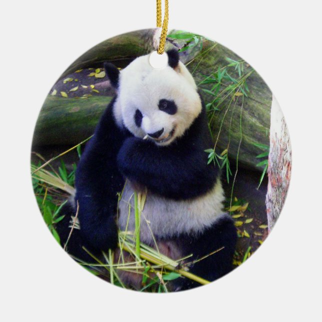 Panda at the San Diego Zoo Ceramic Tree Decoration (Front)