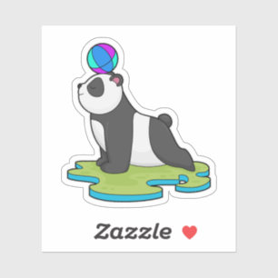 Panda at Yoga Fitness