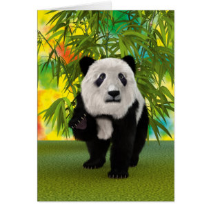 Panda Bear