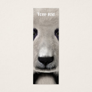 Panda Bear