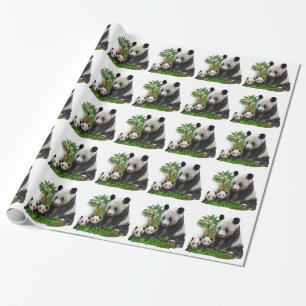 Panda bear and cubs art wrapping paper