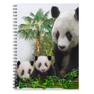 Panda bear and cubs notebook