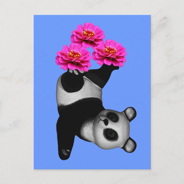 Panda Bear And Pink Zinnia Flower Postcard (Front)