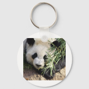 Panda Bear @ Atlanta Zoo Key Ring