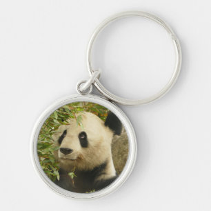 panda bear bears custom personalise Anniversaries Key Ring