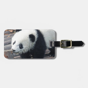 panda bear bears custom personalise Anniversaries Luggage Tag