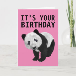 PANDA BEAR BIRTHDAY CARD