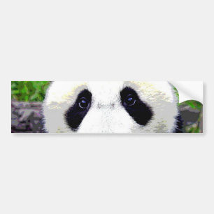 Panda Bear Bumper Sticker