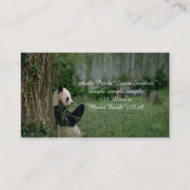 Panda Bear  Business Card (Front)