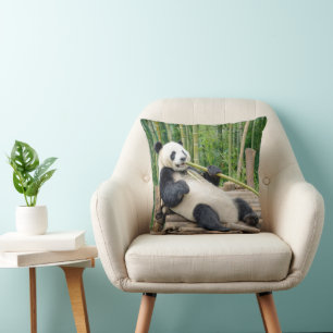 Panda Bear Chewing on a Bamboo Stalk Cushion