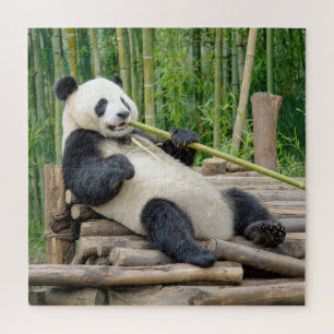 Panda Bear Chewing on a Bamboo Stalk Jigsaw Puzzle