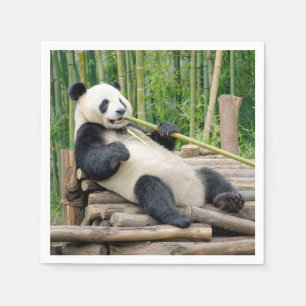 Panda Bear Chewing on a Bamboo Stalk Napkin