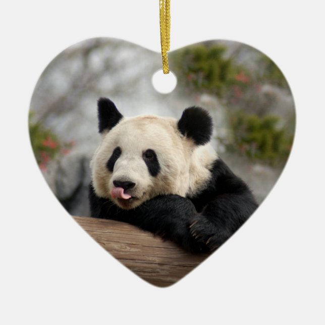 Panda Bear Christmas Ornaments (Front)