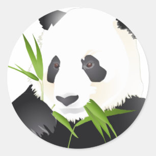 Panda Bear Classic Round Sticker