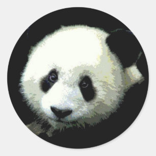 Panda Bear Classic Round Sticker
