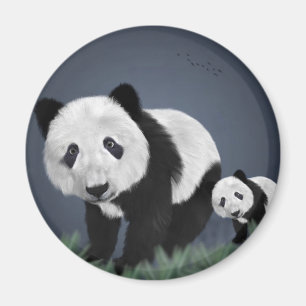 panda bear cute cuddly animal black white sweet magnet