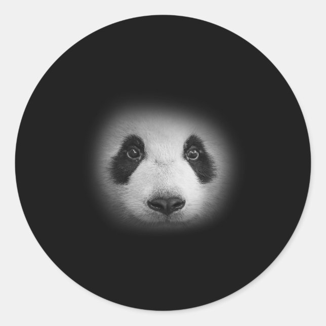 Panda Bear Face  For Animal Lovers And Kind Bears  Classic Round Sticker (Front)