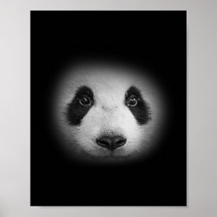 Panda Bear Face For Animal Lovers And Kind Bears Poster