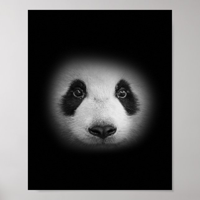 Panda Bear Face  For Animal Lovers And Kind Bears  Poster (Front)