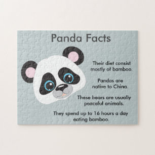 Panda bear facts jigsaw puzzle