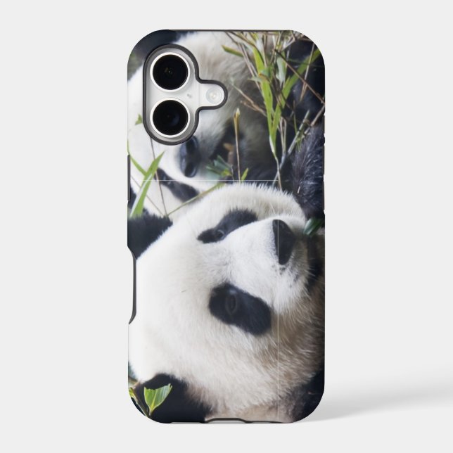 Panda Bear Hugs (Back)