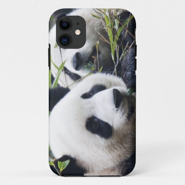 Panda Bear Hugs Case-Mate iPhone Case (Back)