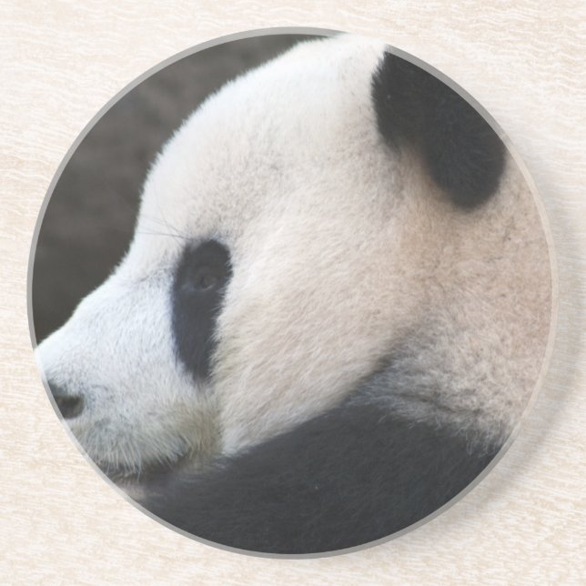 Panda Bear Hugs Coaster (Front)