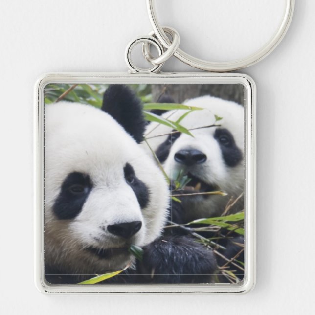 Panda Bear Hugs Key Ring (Front)