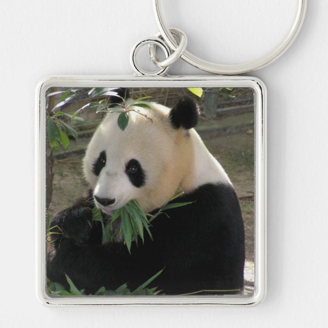 Panda Bear Hugs Key Ring (Front)