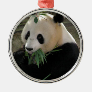 Panda Bear Hugs Metal Tree Decoration