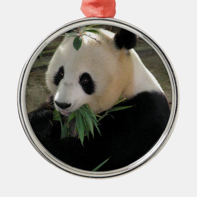Panda Bear Hugs Metal Tree Decoration (Front)