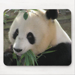Panda Bear Hugs Mouse Mat