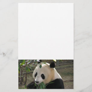 Panda Bear Hugs Stationery