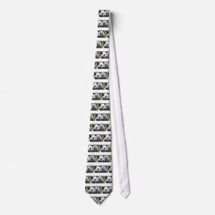 Panda Bear Hugs Tie