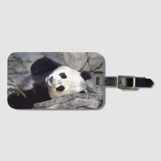 Panda Bear Luggage Tag (Front Horizontal)