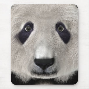 Panda Bear Mouse Mat