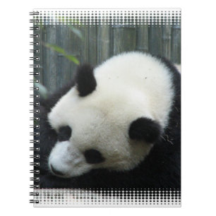 Panda Bear Notebook