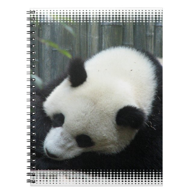 Panda Bear Notebook (Front)
