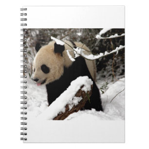 Panda Bear Notebook