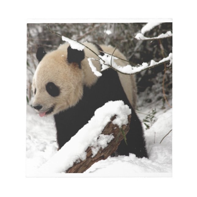 Panda Bear Notepad (Front)